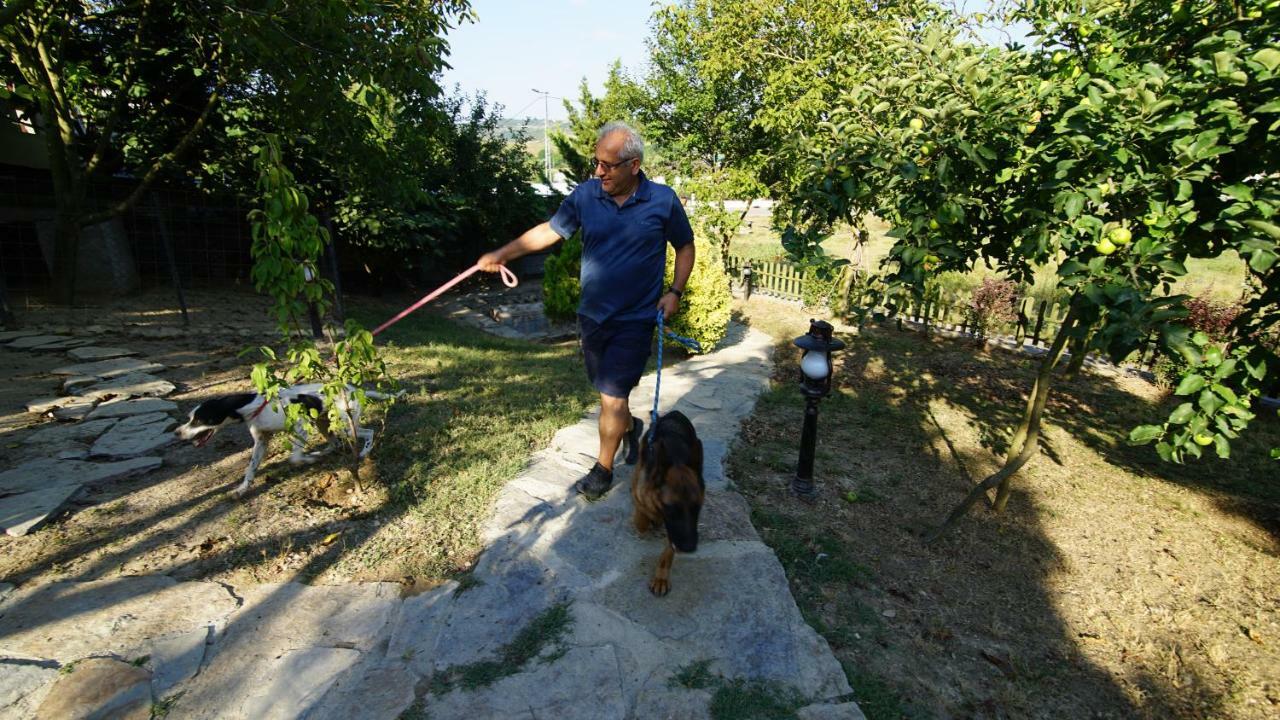 Castle Nolana Hotel Geredeli Екстериор снимка